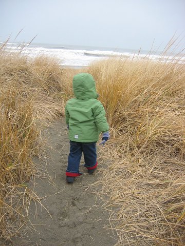 Mariner Village, Ocean Shores, Washington State.
